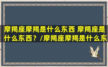 摩羯座摩羯是什么东西 摩羯座是什么东西？/摩羯座摩羯是什么东西 摩羯座是什么东西？-我的网站